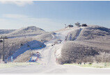 눈부시게 희어서 더 아름다운… 가리왕산 ‘눈꽃 왕국’
