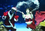 산타와 인어 아가씨의 ‘크리스마스 공연’