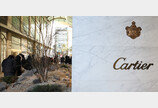 까르띠에도 올렸다…연초 샤넬-롤렉스 등 명품 가격 줄인상