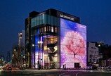 LG전자 플래그십 D5에 벚꽃이 ‘활짝’