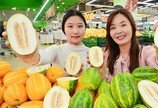 국내산 파파야 멜론 나왔어요
