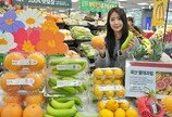 국내에서 재배한 ‘바나나-자몽-레몬’ 맛 보세요