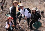 산불피해지역에 나무 심기