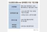 “에어택시 돈 안되고 규제 많아”… 도심항공교통서 손떼는 기업들