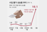 3월 수입 물가 16% 올라 외환위기후 최대폭