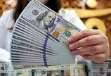 RIA 계좌, 벌써 14만개 넘었지만… 환율 안정 효과는 ‘아직’