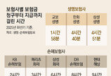 “보험금 신속 지급해야 신뢰도 올라”… 업계, AI활용 속도 경쟁