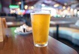 맥주 마시면 기분 좋아지는 이유…알코올 말고 ‘이것’ 때문?