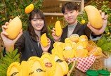 “태국 과일 맛보세요”