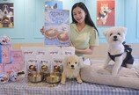 반려견도 여름에 빙수-냉면 즐기고 미스트 뿌린다