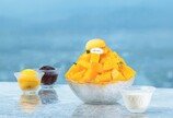 “애플망고 빙수 13만원”…스몰 럭셔리 트렌드에 호텔 식음료 잇따라 인상