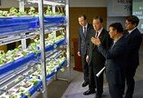 K-딸기 수출 16.6% 증가… aT, 사계절 생산으로 여름 공백기 해소 나선다