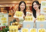 “키위 케이크, 입안에서 살살 녹아요”