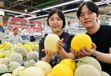 “노란 멜론도 맛보세요”