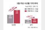이상 기후-유류비 급등에 광어 30%-갈치 29% 껑충