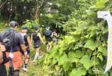 기록 대신 풍경과 추억 남겼다… ‘신비의 섬’ 울릉 44km 달린 러너들