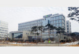 살아난 주택 매수심리… 양도세 중과-전월세 상승 영향