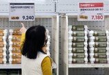 5월 생산자물가 0.8% 상승…9개월 연속 오름세