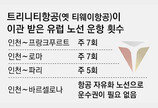 [단독]유럽 가는 ‘하늘길’ 줄어든다