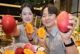 “대만 애플망고 드셔보세요”