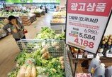 채솟값 내리니 10월 생산자물가 0.1%↓…석달째 하락