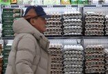 계란 한판 한달새 다시 7000원대… 불안한 ‘서민밥상’