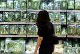 “붉은 고기 좋아하면 주의”…‘이것’ 주로 50대 이후 발생