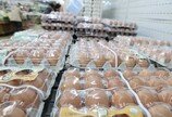 ‘달걀값 짬짜미’ 산란계협회에 과징금 5억9400만원