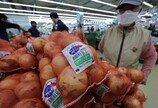 양파값 안정세 찾았지만…폭염 변수에 배추·무 수급관리 비상