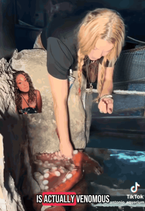 어린이 팔 움켜쥔 대왕문어…“도움 없었으면 끌려갔을 것”(영상)