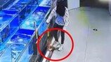 수족관 활어 몰래 꺼내 밟아 죽인뒤…“싸게 주세요”