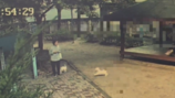“소형견은 물어도 되나…치료비 30만원 나왔는데 견주 오리발”[e글e글]
