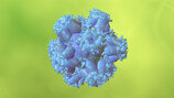 美 마사지샵서 한인여성 성매매 체포…일부는 HIV 감염
