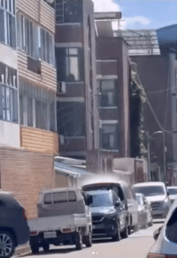 집에서 세차 하는법?…옥상서 물뿌려 주변까지 ‘물 벼락’ [e글e글]