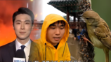 SNS에 판치는 ‘AI 영상’…가짜 판별하는 방법은?