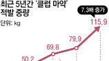 ‘클럽 마약’ 적발 4년새 7배… 유럽發 케타민 비상