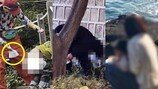 싸고 또 싸고…중국인 관광객 ‘배변 테러’에 시민들 분통
