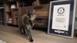 ‘사람 나이로 136세’ 고양이, 기네스 기록 연장…장수 비결은?