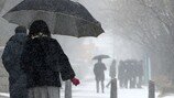 충남권 최대 8㎝ 눈 내려…“곳곳서 낙상사고 등 속출”