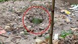 美, 이란에 35년 만에 대전차지뢰 살포?…민간인 피해 우려