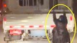 “불륜 잡겠다”…달리는 남편 트럭에 매달려 ‘목숨건 미행’