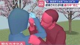 日 벚꽃 명소에서 여성 팔 깨문 노인…연행 도중 사망
