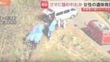 日 실종자 찾던 경찰관 곰 습격당해…인근서 여성 시신도 발견