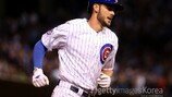 CHC 브라이언트, 시즌 25호 폭발… 지난해 홈런 기록에 -1