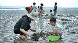 [엄마·아빠 놀러가] 고창 상하농원 삼시세끼 갯벌체험 (12∼14일, 전북 고창)