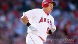 ‘마이너 FA’ 최지만, 최고 명문 NYY와 계약… 최대 110만 달러