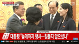 ‘김정은 동생’ 김여정, 시종일관 꼿꼿한 자세·표정