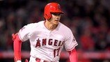 LAA 오타니, AL 이달의 신인… 2승-4홈런-OPS 0.960
