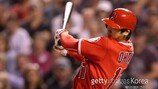LAA 오타니, COL전 대타로 안타 추가… 타율 0.344