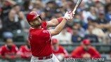 LAA 푸홀스 통산 621호 폭발… 그리피 기록에 -9개